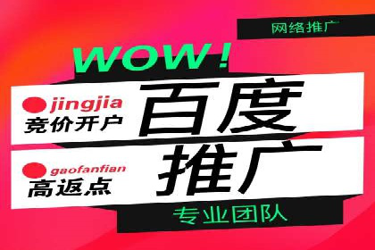 SEM竞价代运营：案例展示广告投放优化技巧